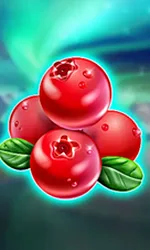 Winterberries